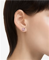 Orecchini Swarovski Donna in Lega metallica Cristallo 5661960 - 5661960